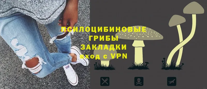 Галлюциногенные грибы ЛСД  где купить   shop как зайти  Искитим 